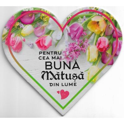 Pentru cea mai buna matusa din lume-magnet