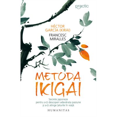 METODA IKIGAI