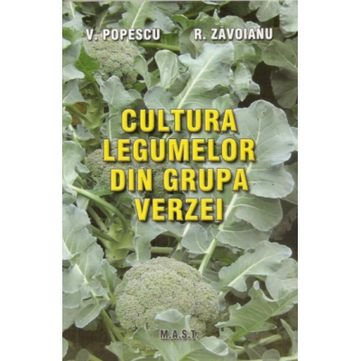 Cultura legumelor din grupa verzei