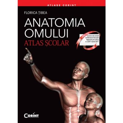 ANATOMIA OMULUI. ATLAS SCOLAR