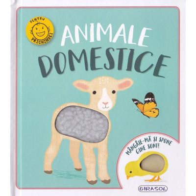 Animale domestice. Mângâie-mă și spune cine sunt!