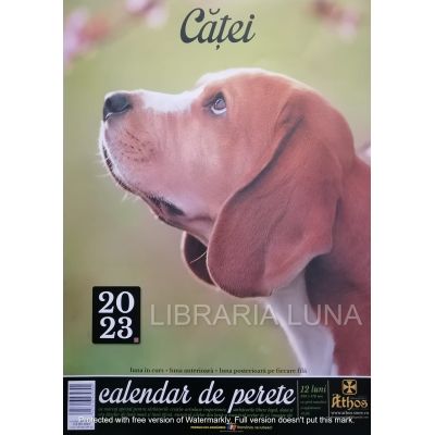 CALENDAR 13 FILE 2023. CĂȚEI