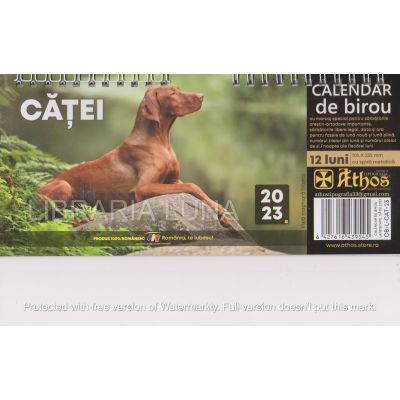 CALENDAR 2023 de birou. CĂȚEI