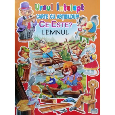 Ce este? Lemnul. Ursul înțelept. Carte cu abțibilduri