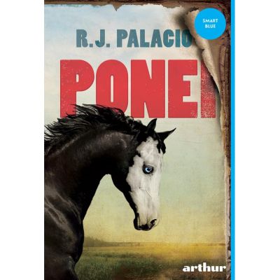PONEI