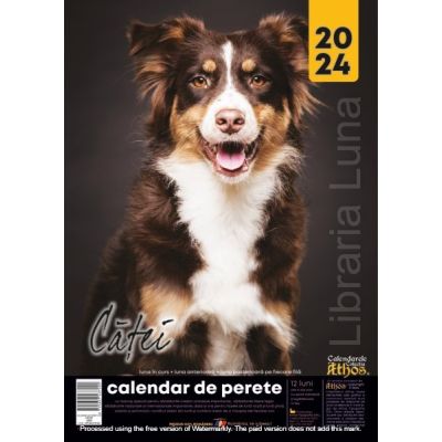 CALENDAR DE PERETE 13 FILE 2024. CĂȚEI. Format X4