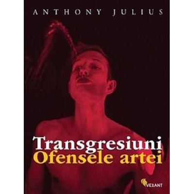 Transgresiuni. Ofensele artei