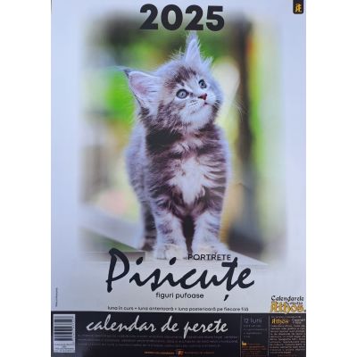 Calendar 2025. Pisicuțe. Figuri pufoase
