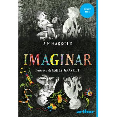 Imaginar. Paperback