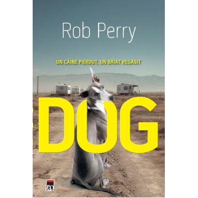 Dog. Un câine pierdut, un băiat regăsit