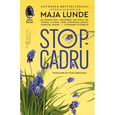 Stop-cadru